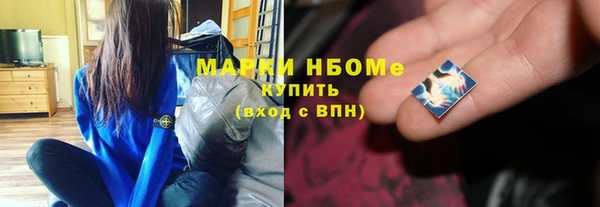 шишки Арсеньев