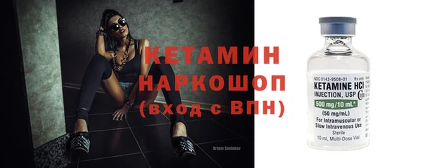 шишки Арсеньев