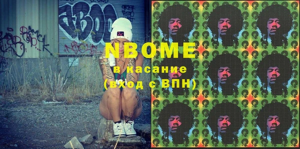 шишки Арсеньев