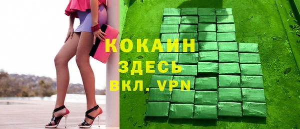 шишки Арсеньев