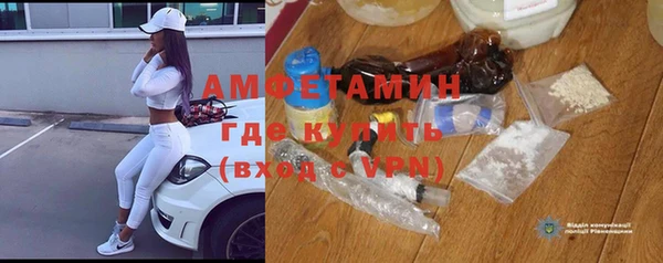 шишки Арсеньев