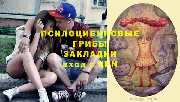 шишки Арсеньев