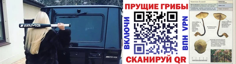 продажа наркотиков  Сурск  Псилоцибиновые грибы мицелий 